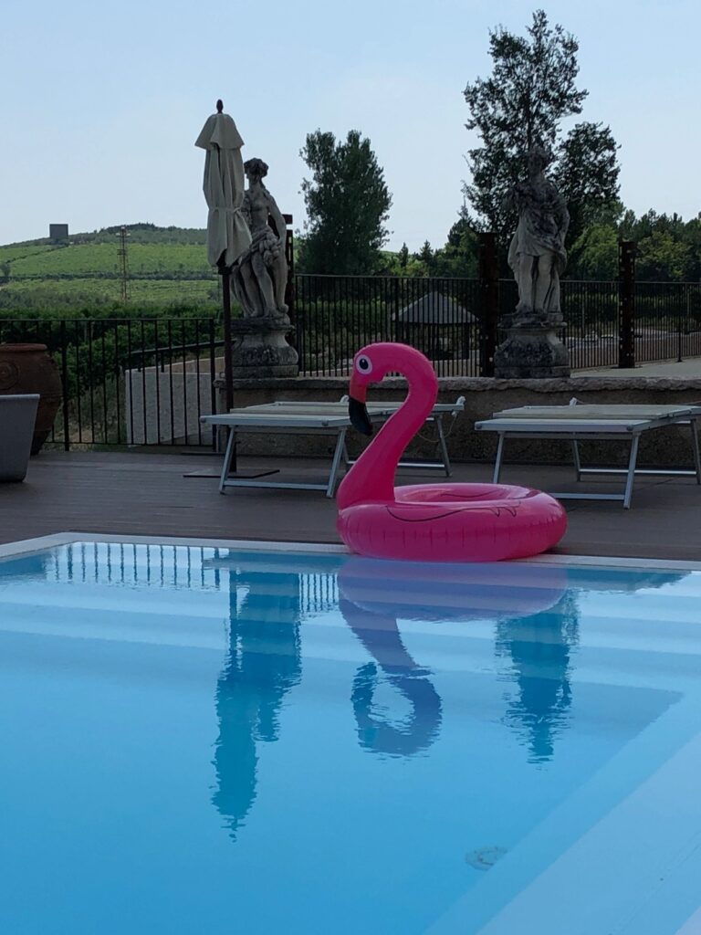 International Wine & Travel journey photo
