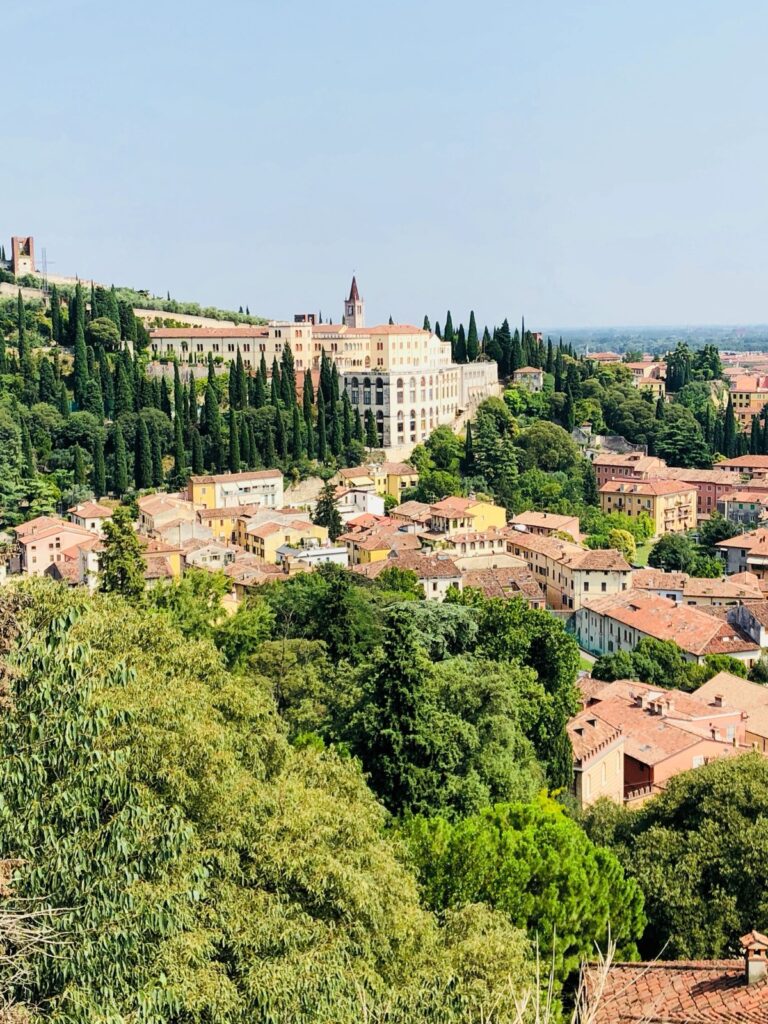 International Wine & Travel journey photo