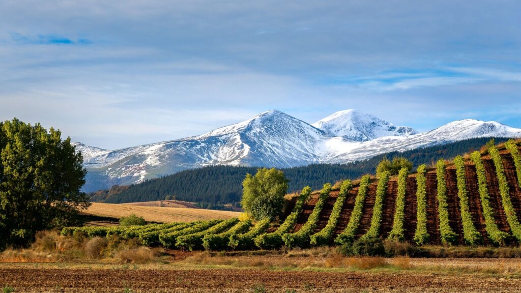 Spain & Portugal: Iberian Elegance