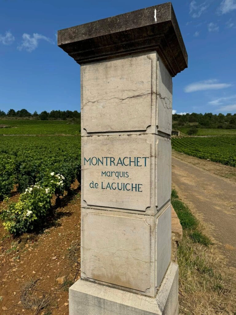 Champagne, Chablis, Burgundy & Lyon