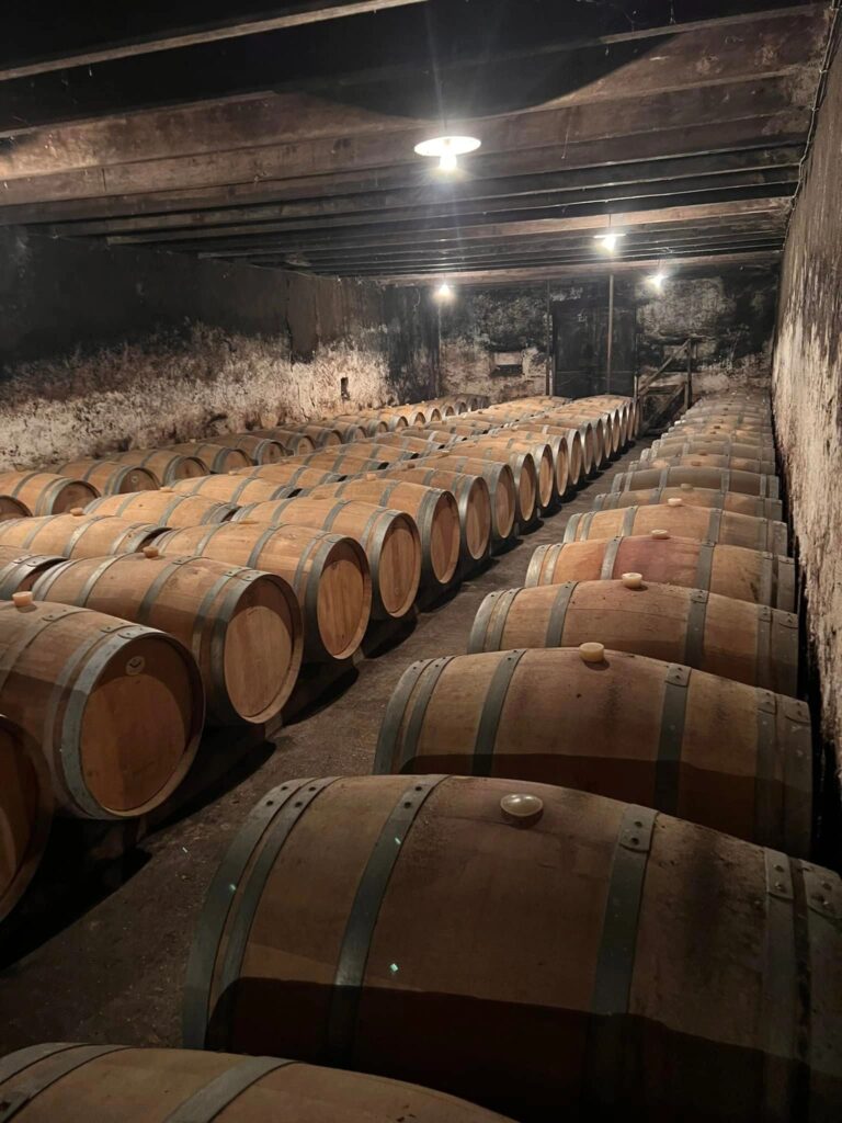 Bordeaux Grand Cru: Elegant Wine Escape