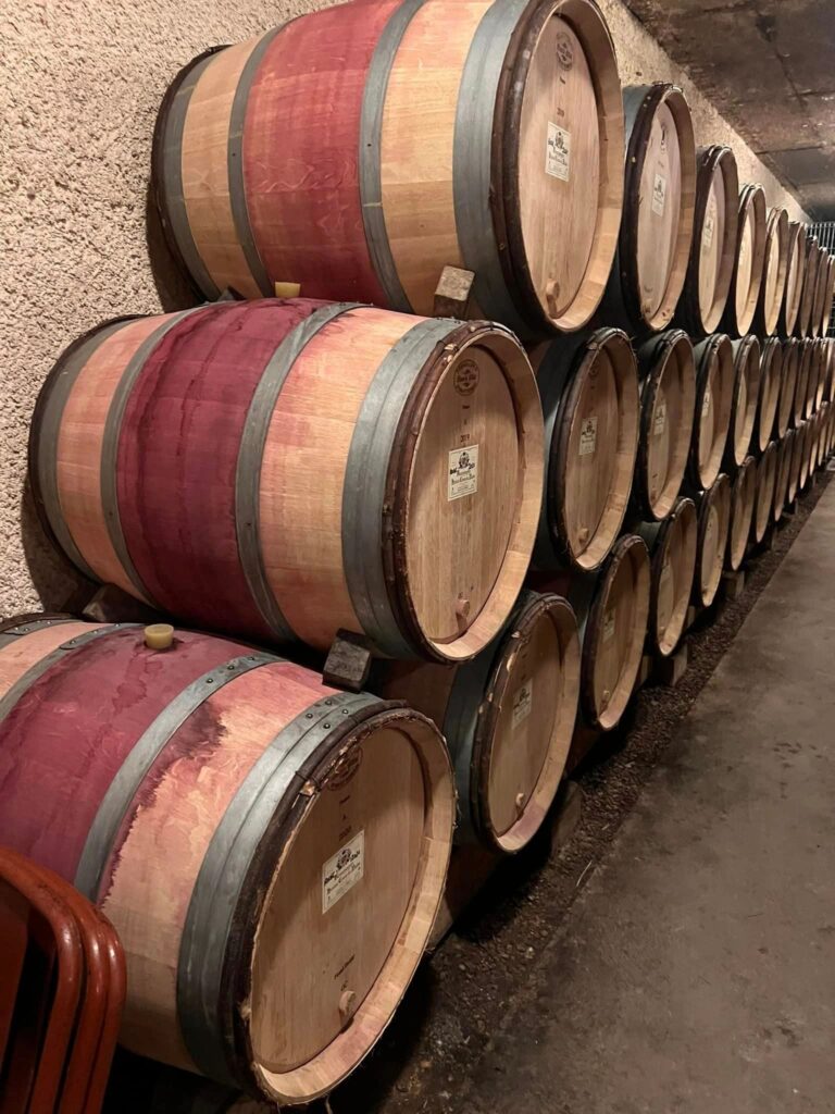 Champagne, Chablis, Burgundy & Lyon