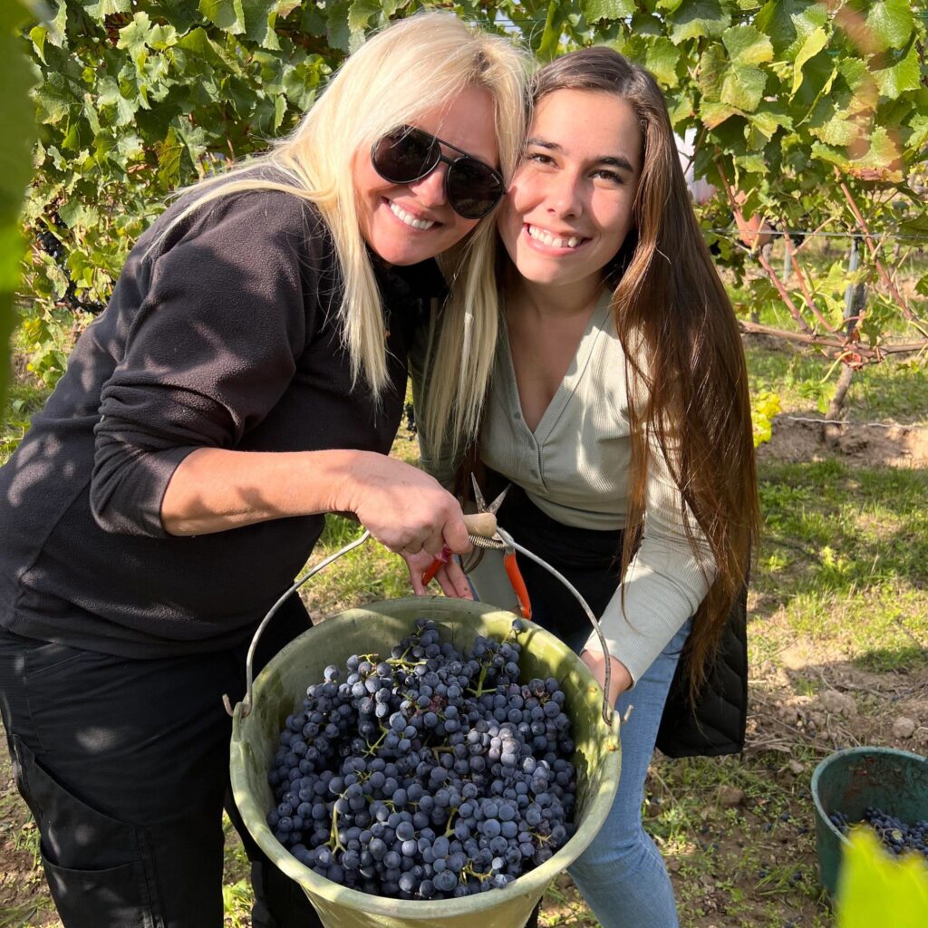 Bavaria, Germany: Uncork Wine & Heritage