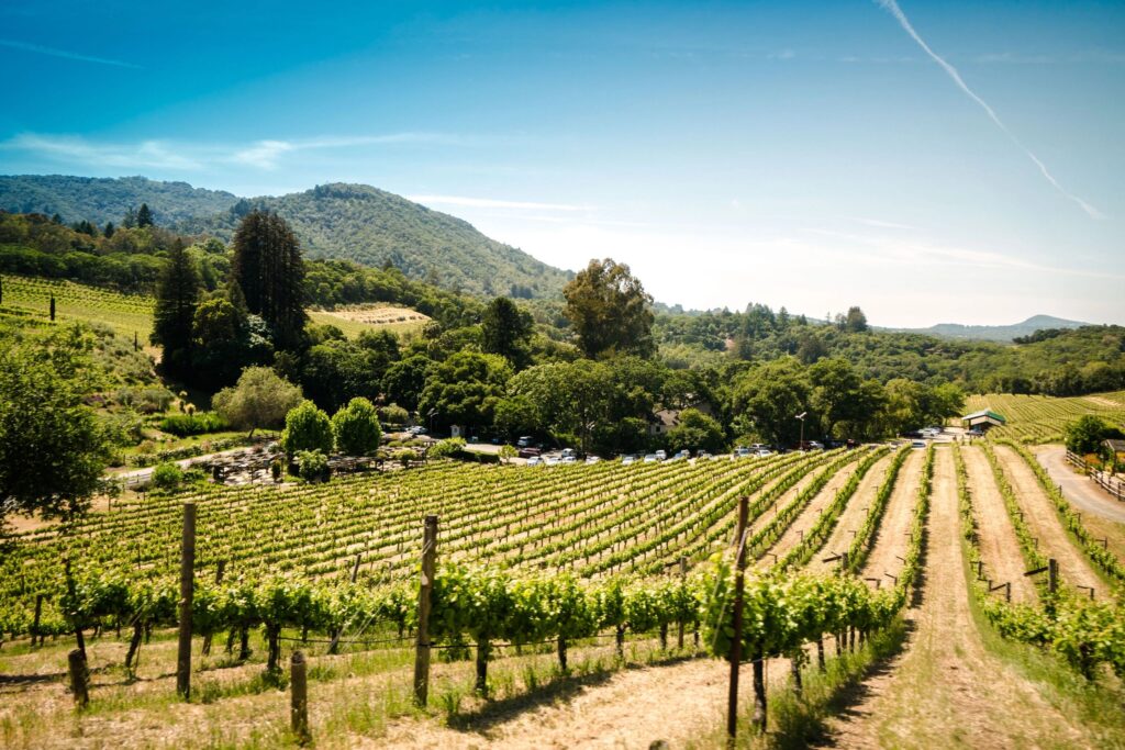 Southern California Wine Country