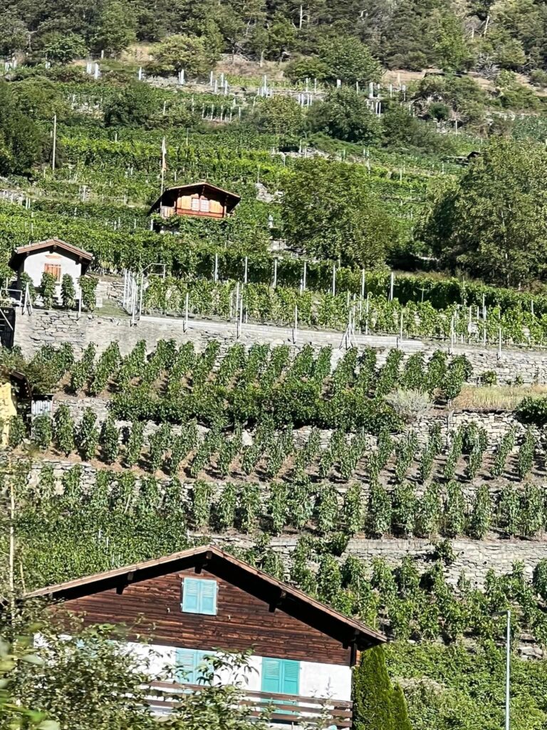 Switzerland: Trains, Planes, and Automobiles