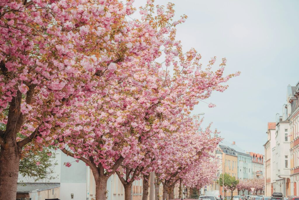 Easter Markets