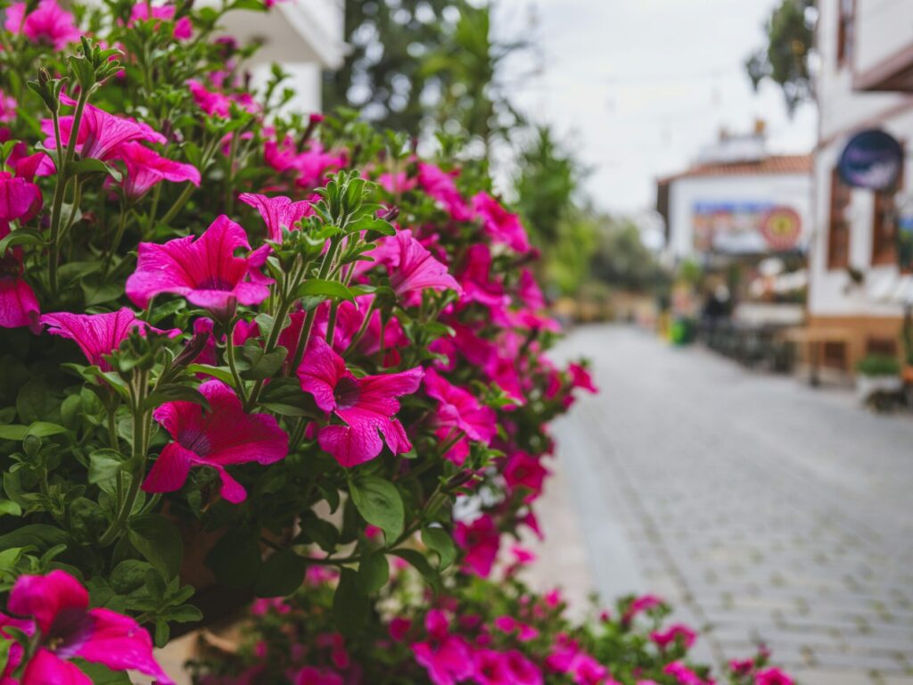 Easter Markets & Cultural Europe