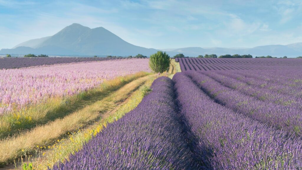 Provence, France