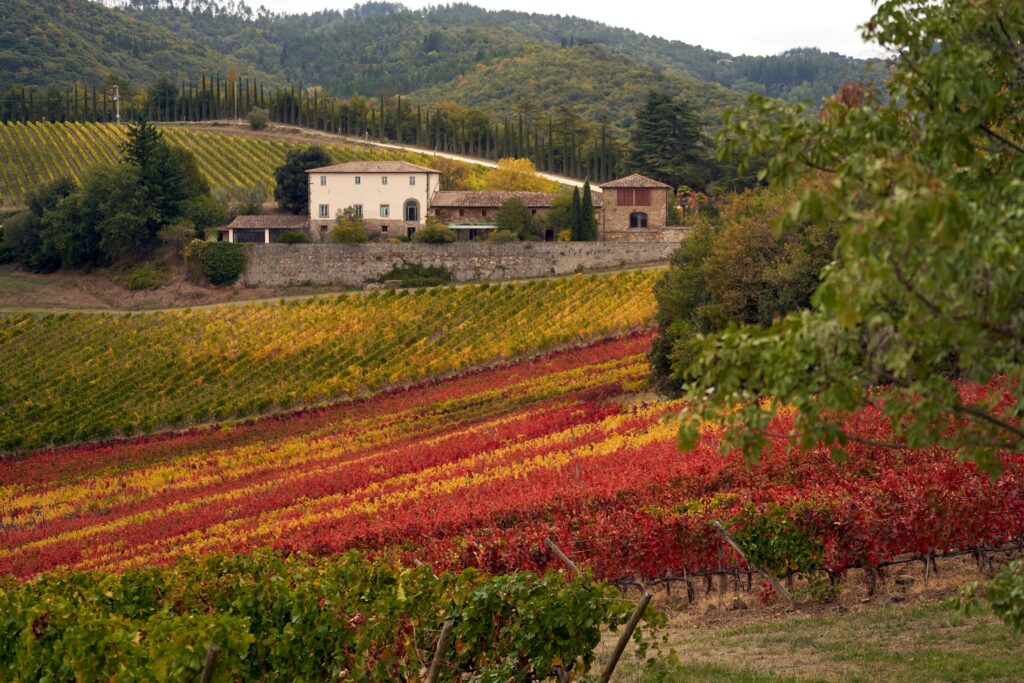 Tuscany: Rolling Hills & Renaissance Wonders